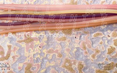 Wystawa „Call Me Inherently Fragile” Beate Gatschelhofer