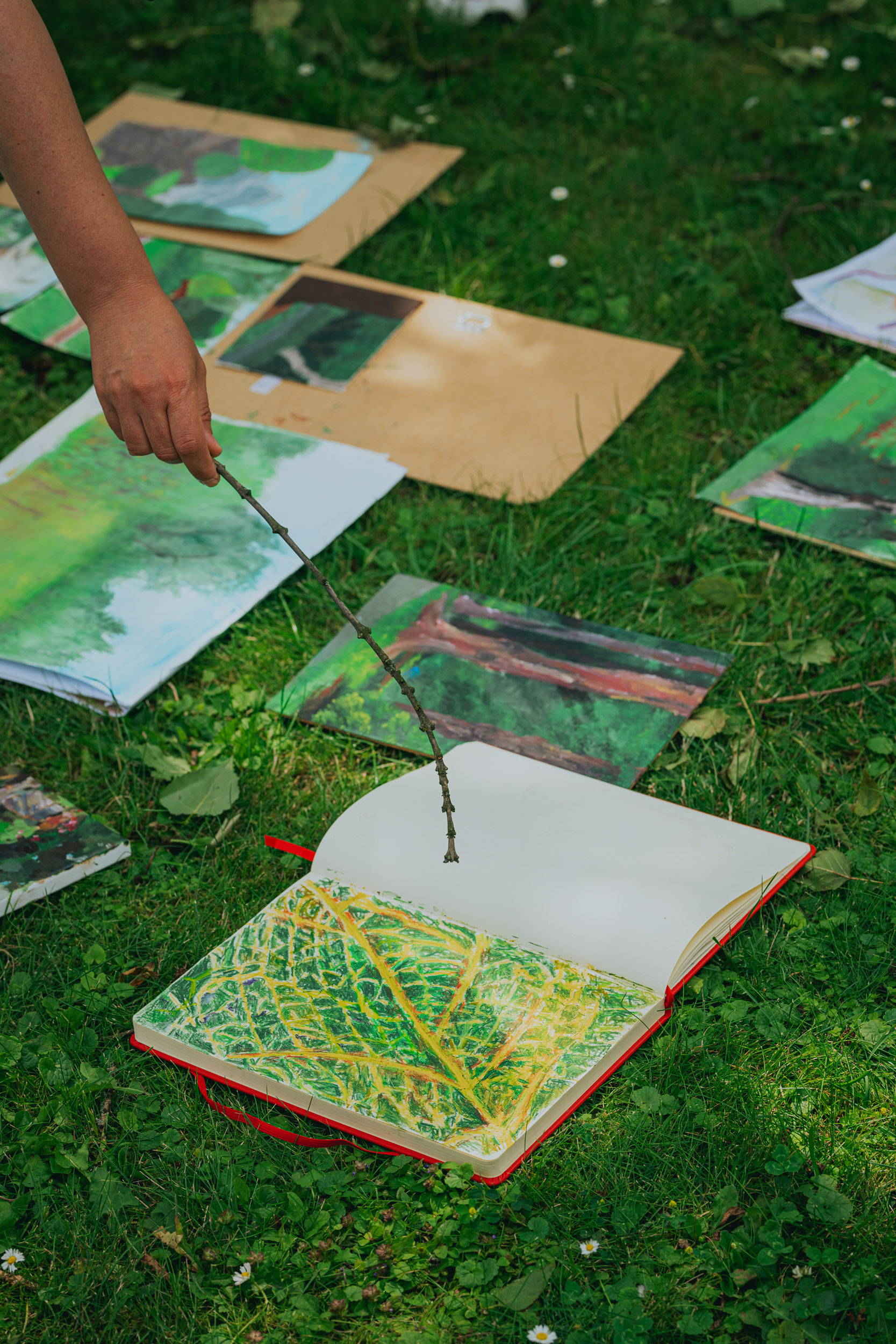 Na intensywnie zielonej trawie leżą szkicowniki z malunkami roślin.